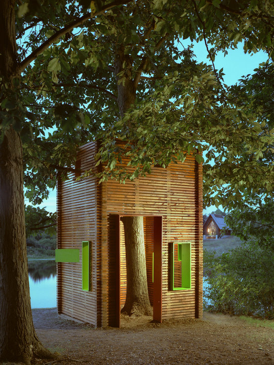 A House For A Tree
